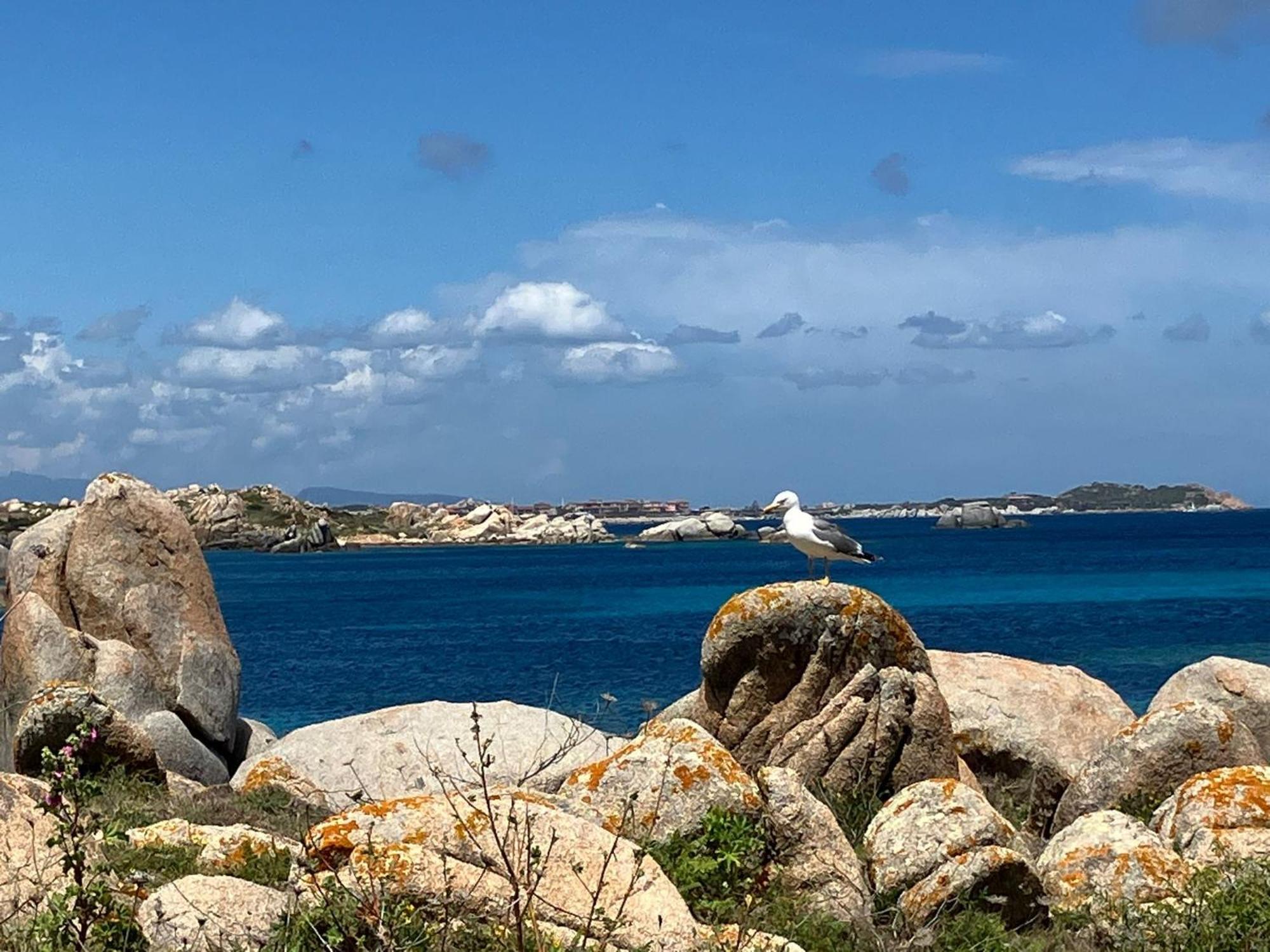 Maison Non Fumeur - Jardin 5 Personnes Proche Des Plages Finisteriennes Guipavas Екстериор снимка
